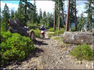 www.riderplanet-usa.com
