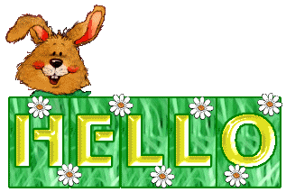 HelloBunny02-vi.gif