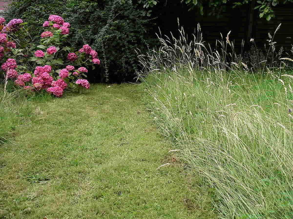 www.lawnstarter.com