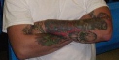 NAT_11527_3.jpg
