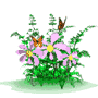 animated-flower-image-0016.gif
