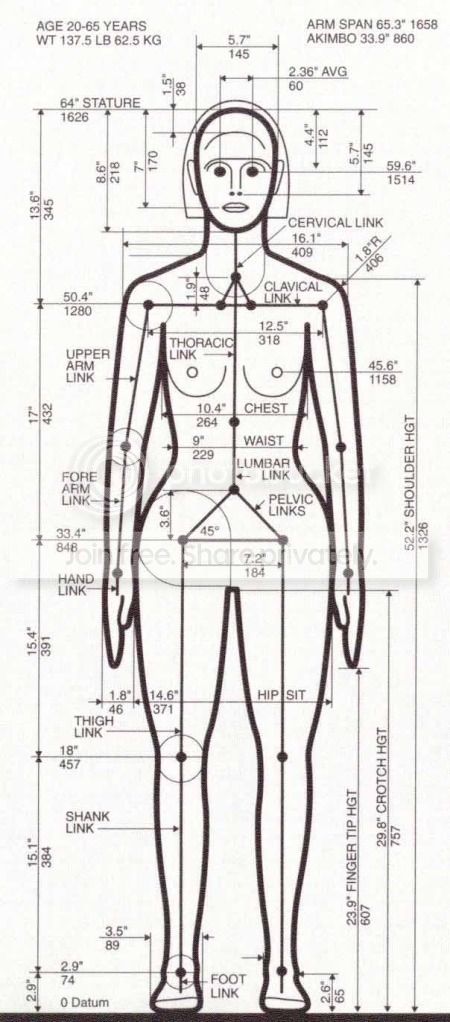 averageadultfemale.jpg