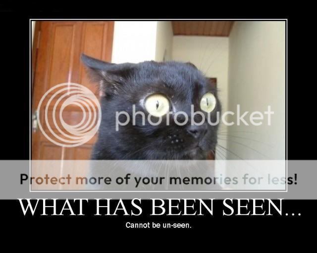 1215161511333jpg_roflposterscom_mys.jpg