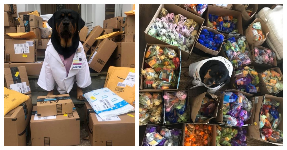 dogtor-loki-care-packages-4.jpg