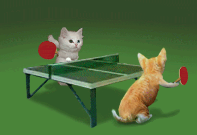7993d6f912f6862b185b7b5478facbb9.gif