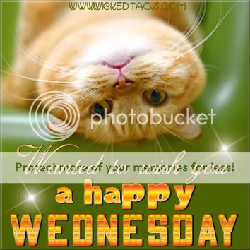 Wednesday-CatOnBack-1.jpg