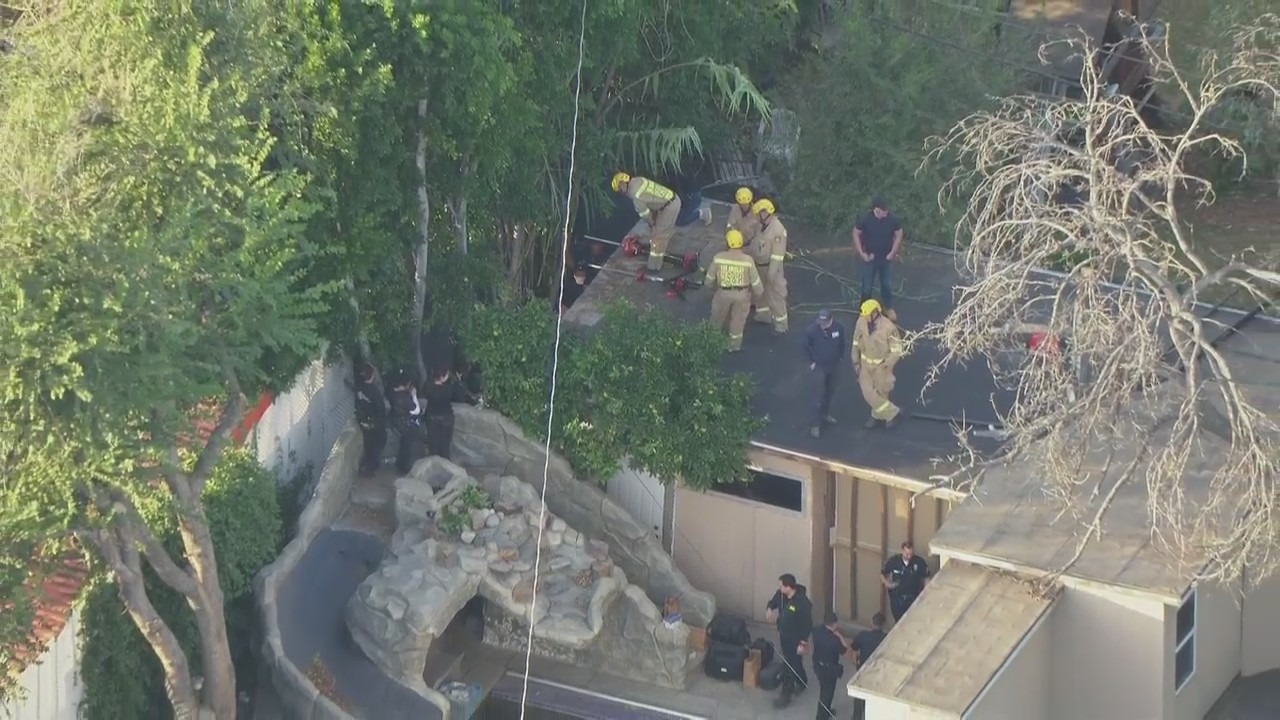 www.foxla.com