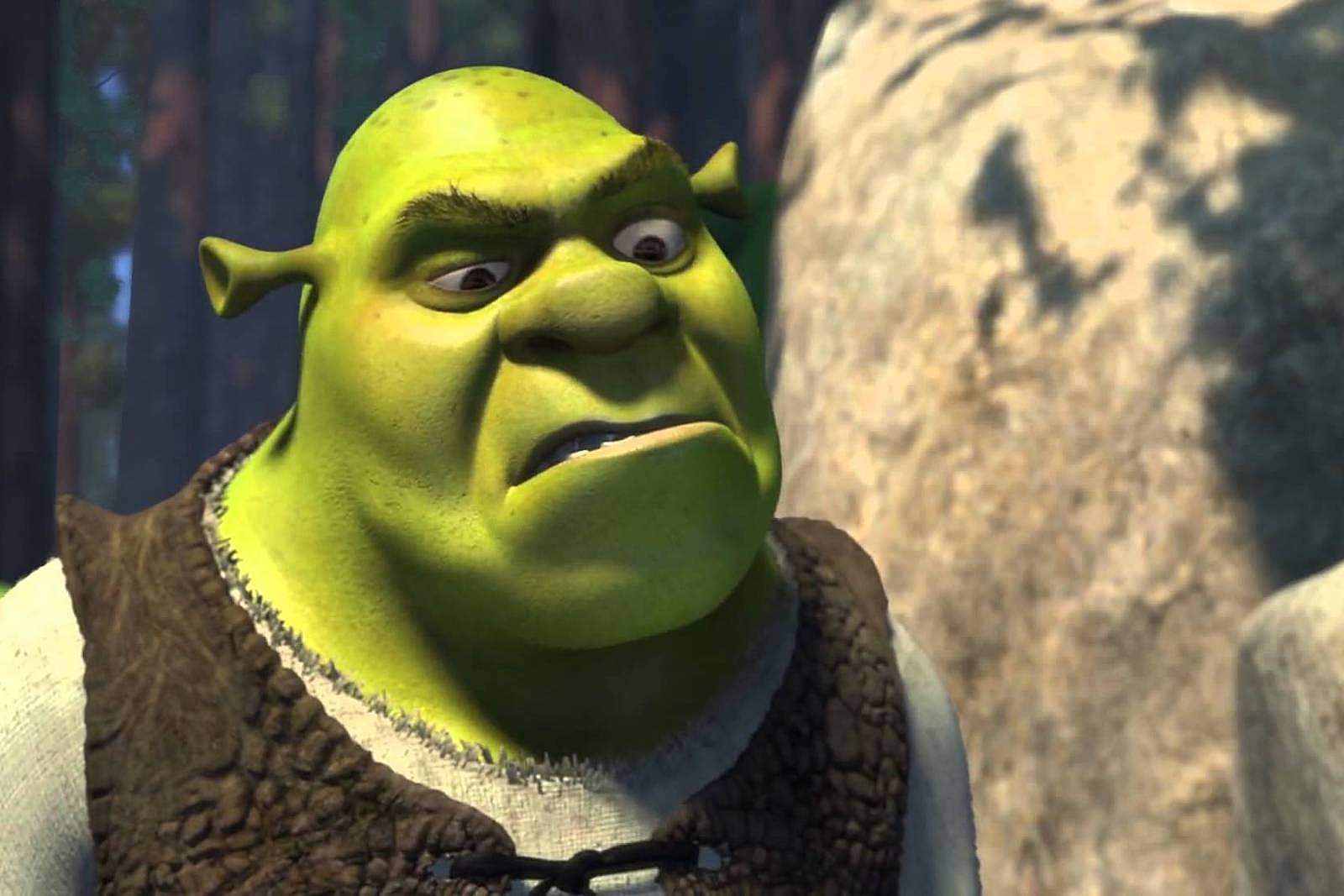 shrek-reboot-oh-no.jpg
