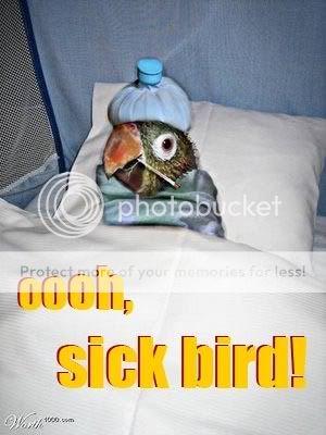 sickbird.jpg