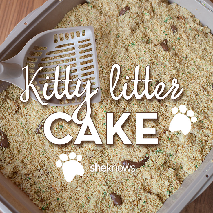 Kitty-Litter-Cake-Pin.jpg