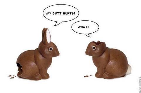 easter-bunnies-jpg.291176