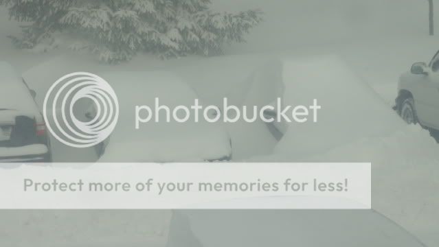 2a631305.jpg