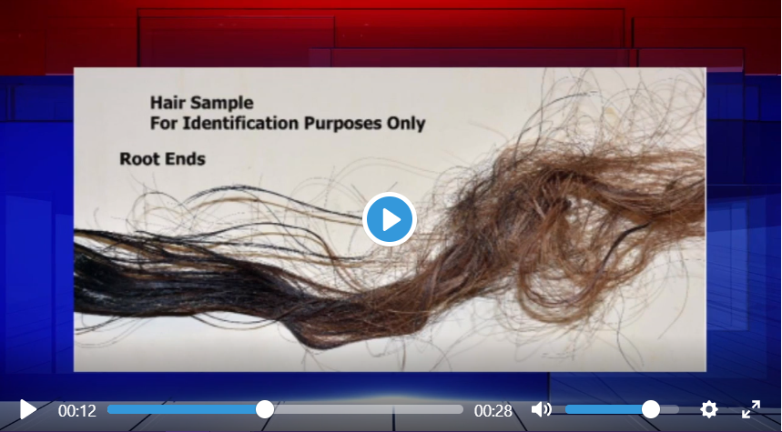 hair-png.132550