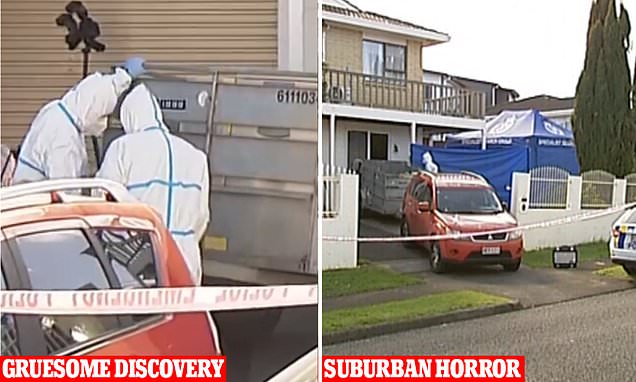 www-dailymail-co-uk.cdn.ampproject.org