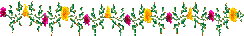 animated-dividing-line-image-0163.gif