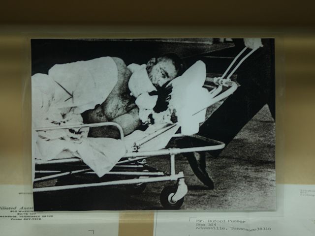 bufordpussermuseum.com