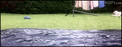tumblr_m1066uxEzV1rr4yq4o1_400.gif