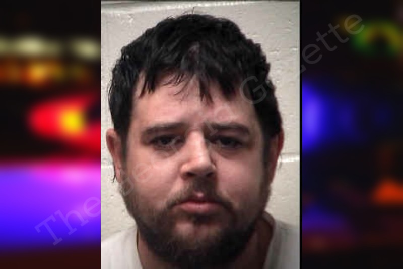 thegeorgiagazette.com