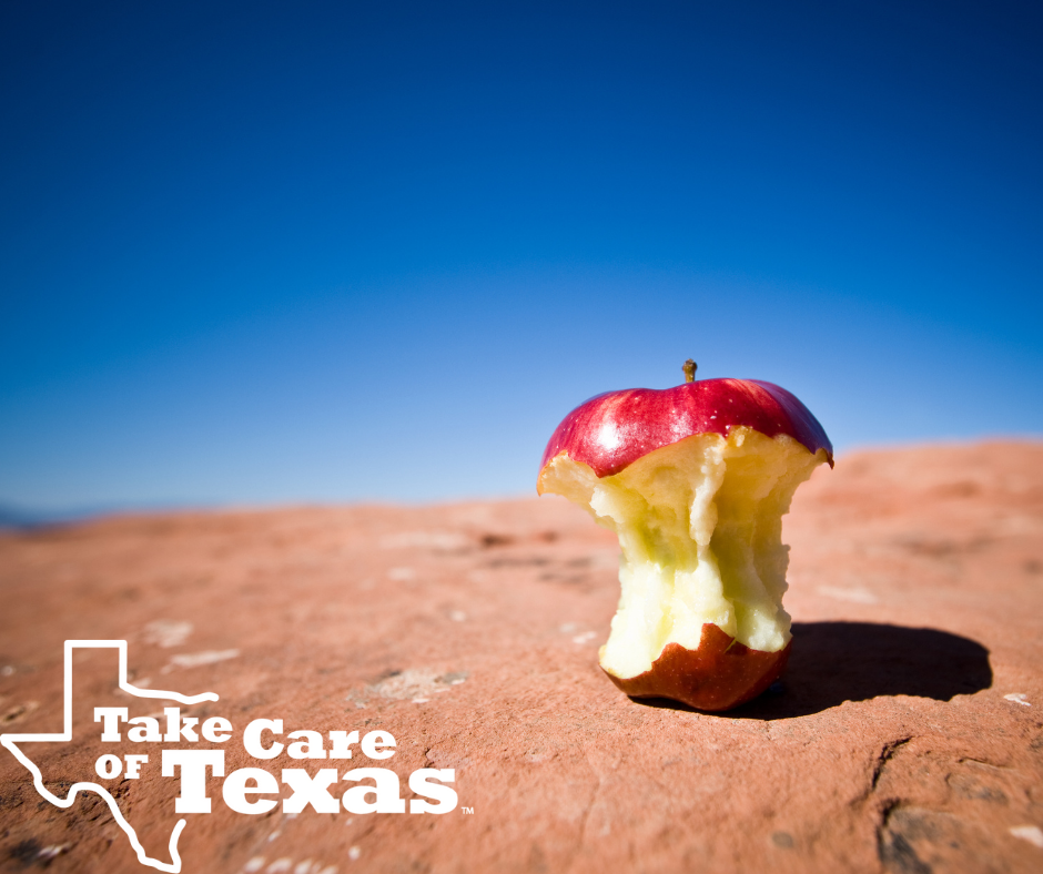 takecareoftexas.org
