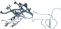 thunderstreetministry.com