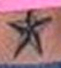 riggio_heather_tattoo.jpg