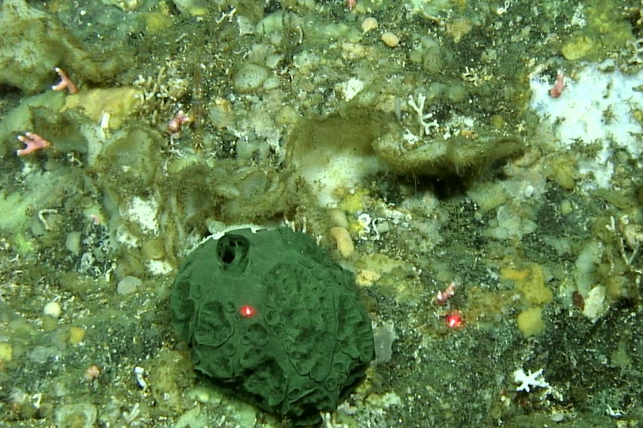 www.fisheries.noaa.gov