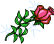 38.gif
