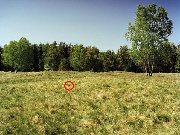 main-qimg-161b6cb47a23aa40852a0c0fa3839743-c