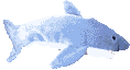 animated-fish-image-0517.gif