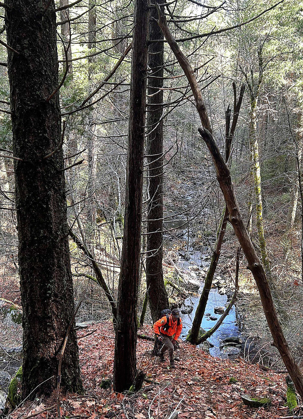 These photos supplied by the Calaveras County (California) Sheriff's Office show the search efforts underway for Ann Herford, a missing hiker from Elkton. Herford dsiappeared over a week ago near a trailhead in Arnold, California.
