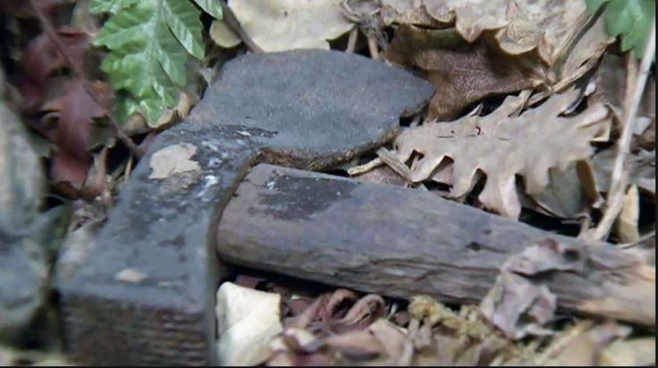 babes-hatchet.JPG;w=960