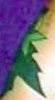 marks_daniel_tattoos2.jpg