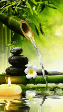zen-candles.gif
