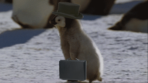 tumblr_m73fnfQjcd1rxzi6to1_500.gif