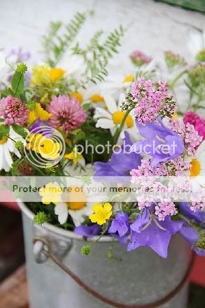 swedishwildflowers.jpg