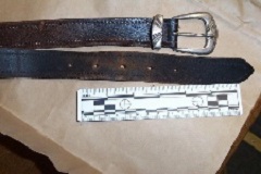 233UMWA2_belt.jpg