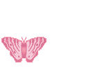 butterflies_56.gif