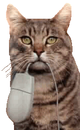 cats66.gif
