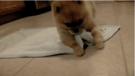 tumblr_mevhkec7OG1qfvx4yo1_500.gif