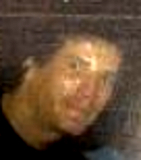 wallace_l._vaughan_1.jpg