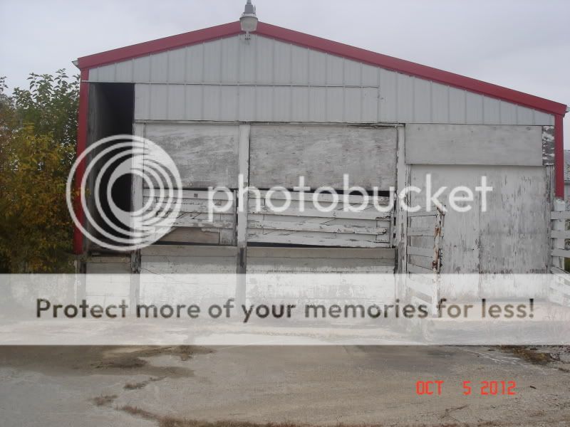 hogbuyingstation014.jpg