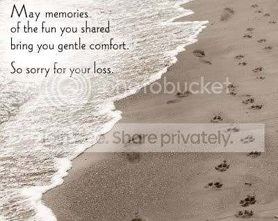 petsympathy.jpg