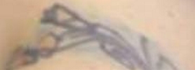 crawford_amanda_tattoos3.jpg