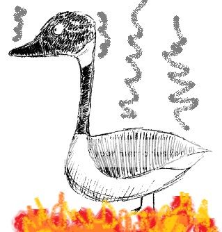 goose_zps2ceca96d.jpg