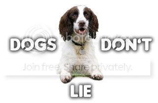 dogsdontlieqa2.jpg