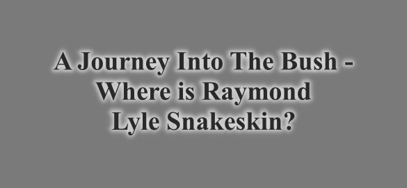 someonesawsomething.ca