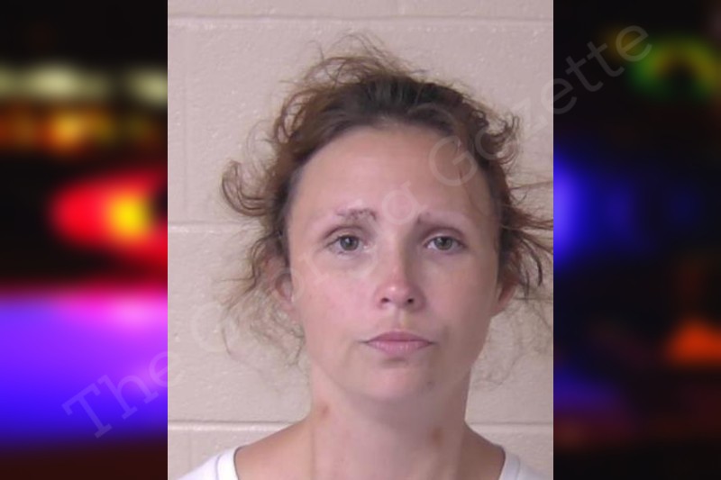 thegeorgiagazette.com