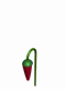 animated-flower-image-0155.gif