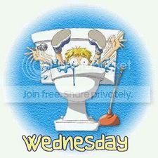 Wednesdaytoilet.bmp