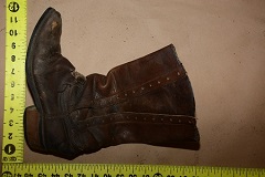 552UMFL5.jpg